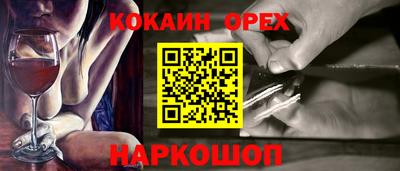 мдпв Кингисепп
