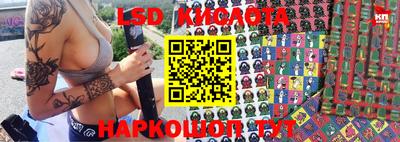мдпв Кингисепп