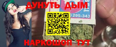 мдпв Кингисепп