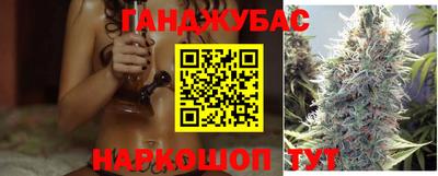мдпв Кингисепп