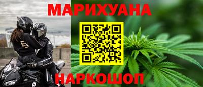мдпв Кингисепп