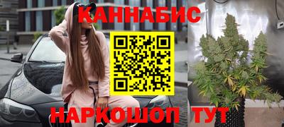 мдпв Кингисепп