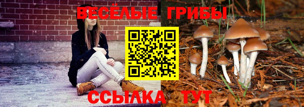 Галлюциногенные грибы мухоморы  Вход с VPN  Дальнегорск  Псилоцибиновые грибы Psilocybe 
